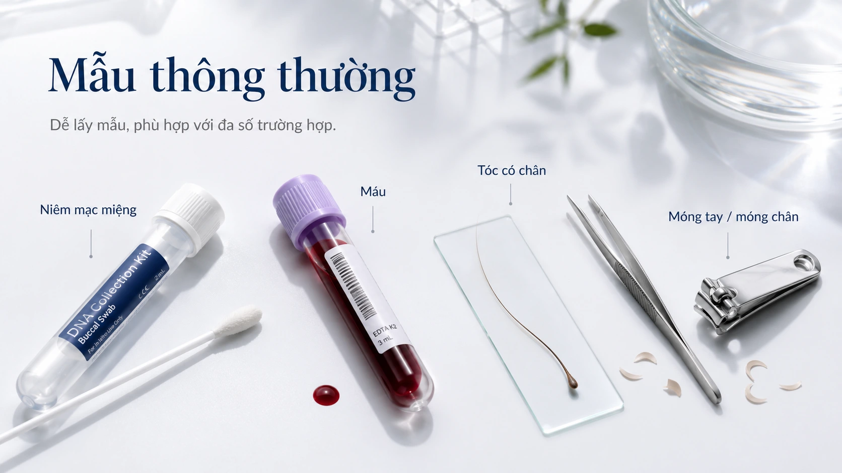 Các mẫu xét nghiệm ADN thông thường gồm niêm mạc miệng, máu, tóc có chân và móng