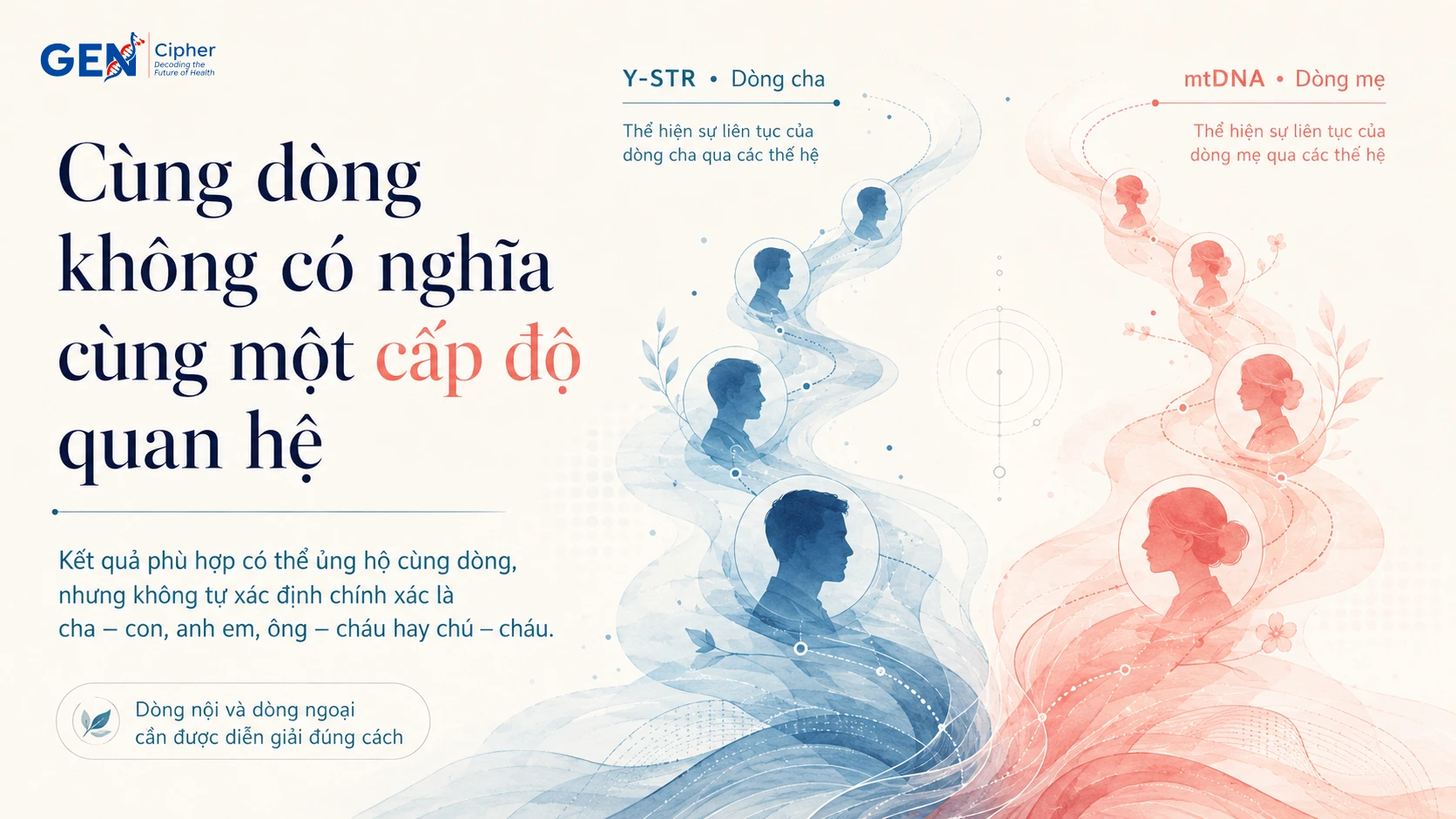 Cùng dòng không đồng nghĩa cùng cấp độ quan hệ
