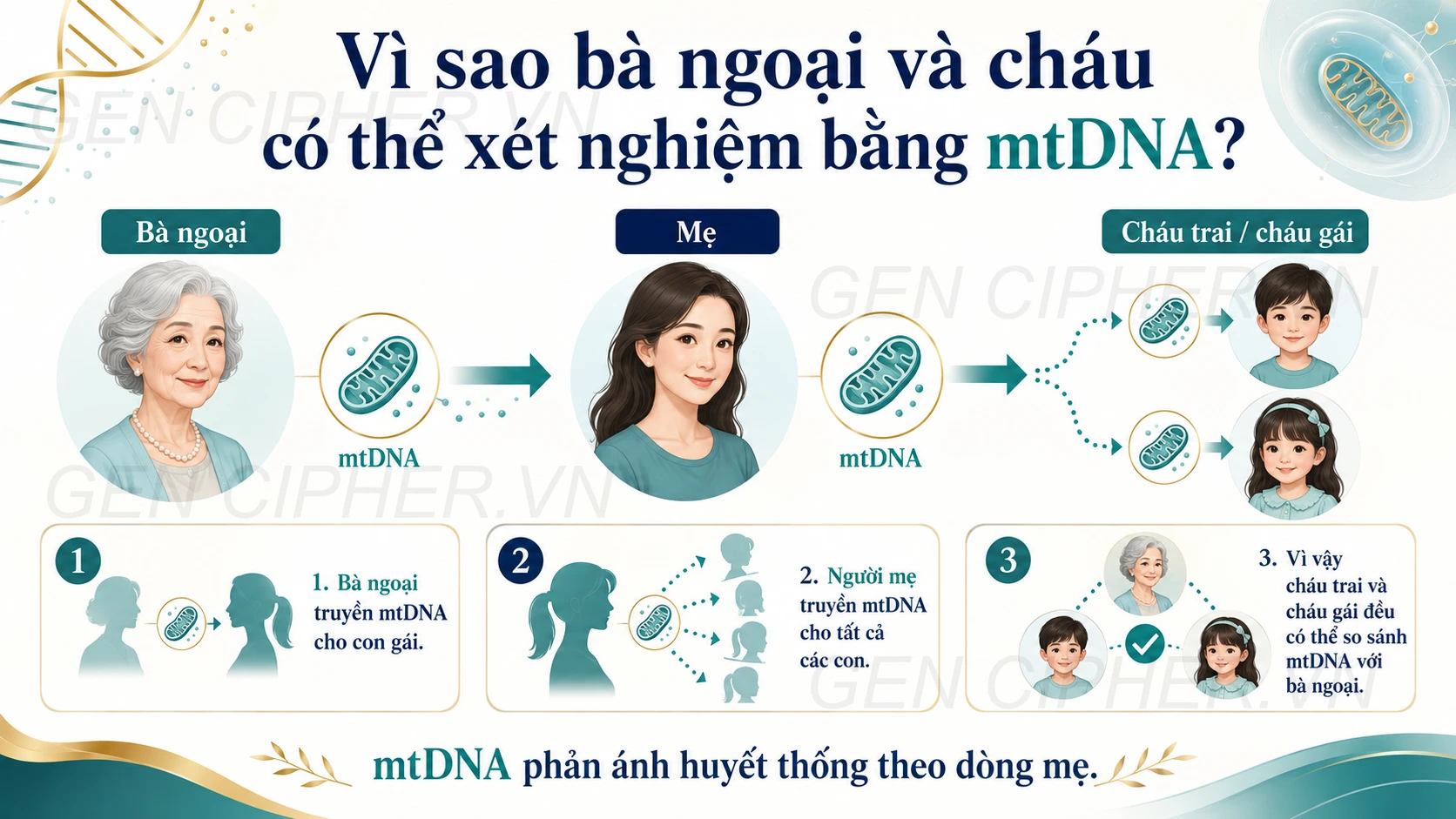 Xét nghiệm mtDNA giữa bà ngoại và cháu qua dòng mẹ