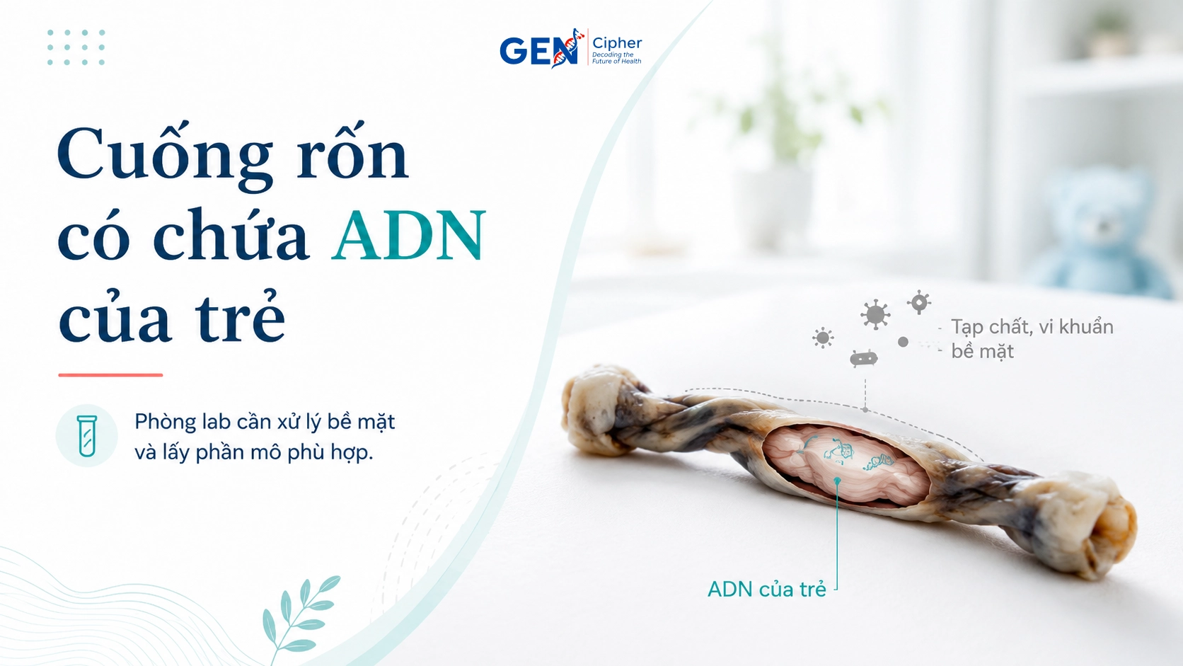 Cuống rốn trẻ sơ sinh có thể sử dụng để xét nghiệm ADN