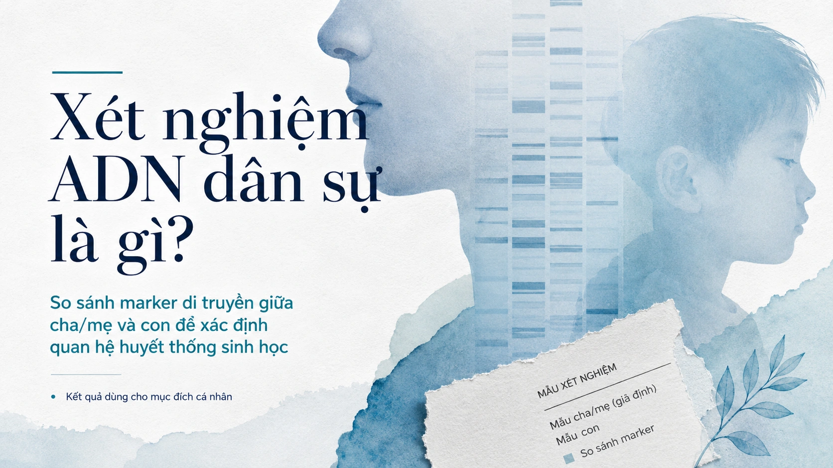 Tổng quan xét nghiệm ADN cha mẹ con dân sự