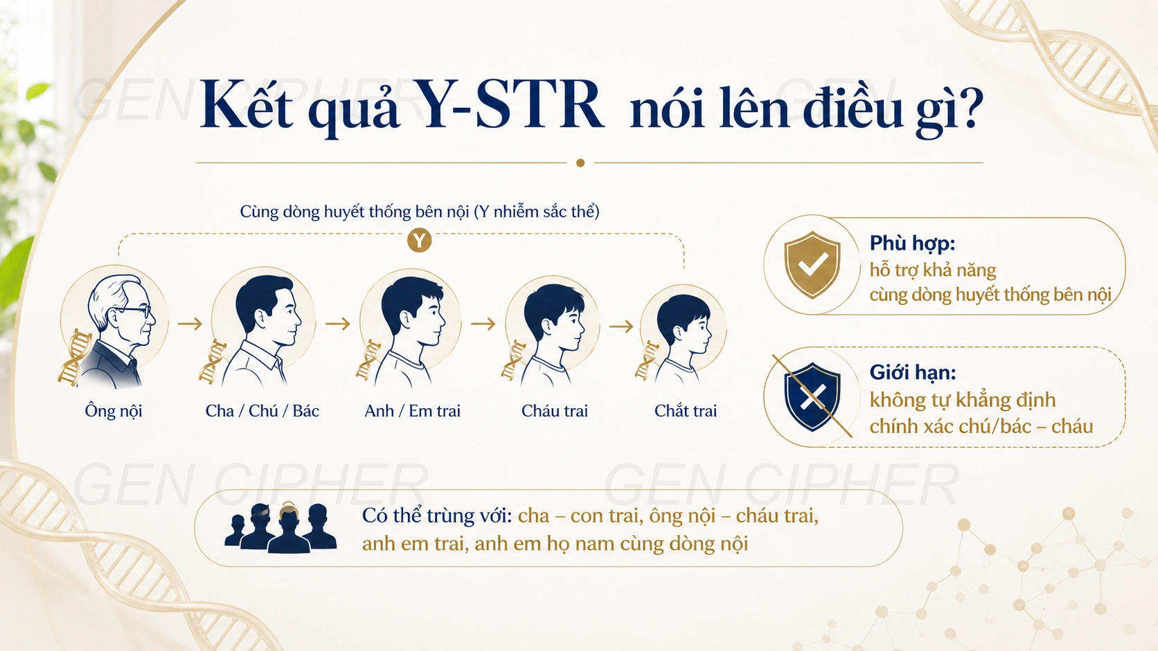 Điều kiện áp dụng xét nghiệm Y-STR chú bác – cháu trai
