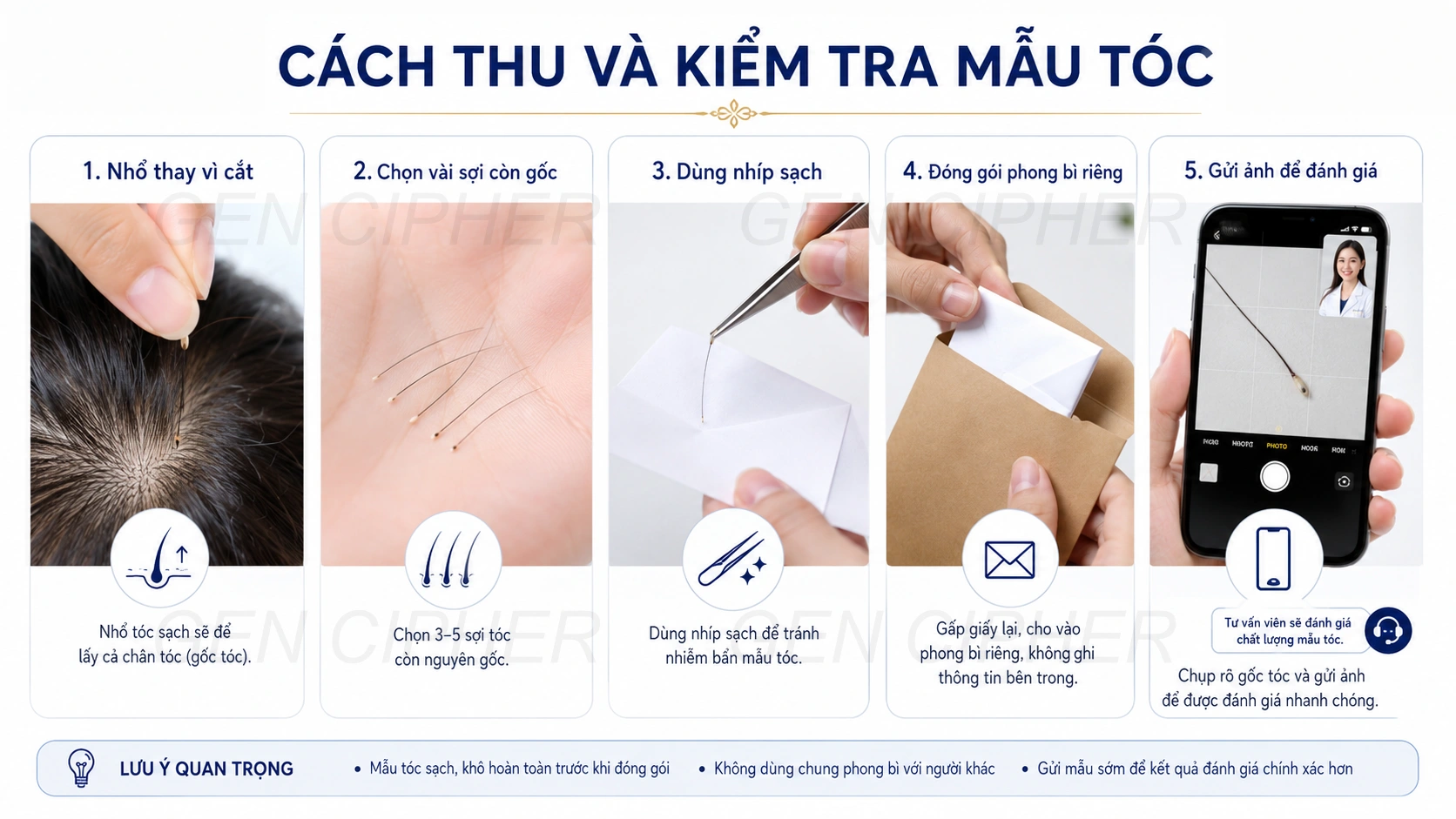 Minh họa cho quy trình kiểm tra mẫu tóc tại gen cipher