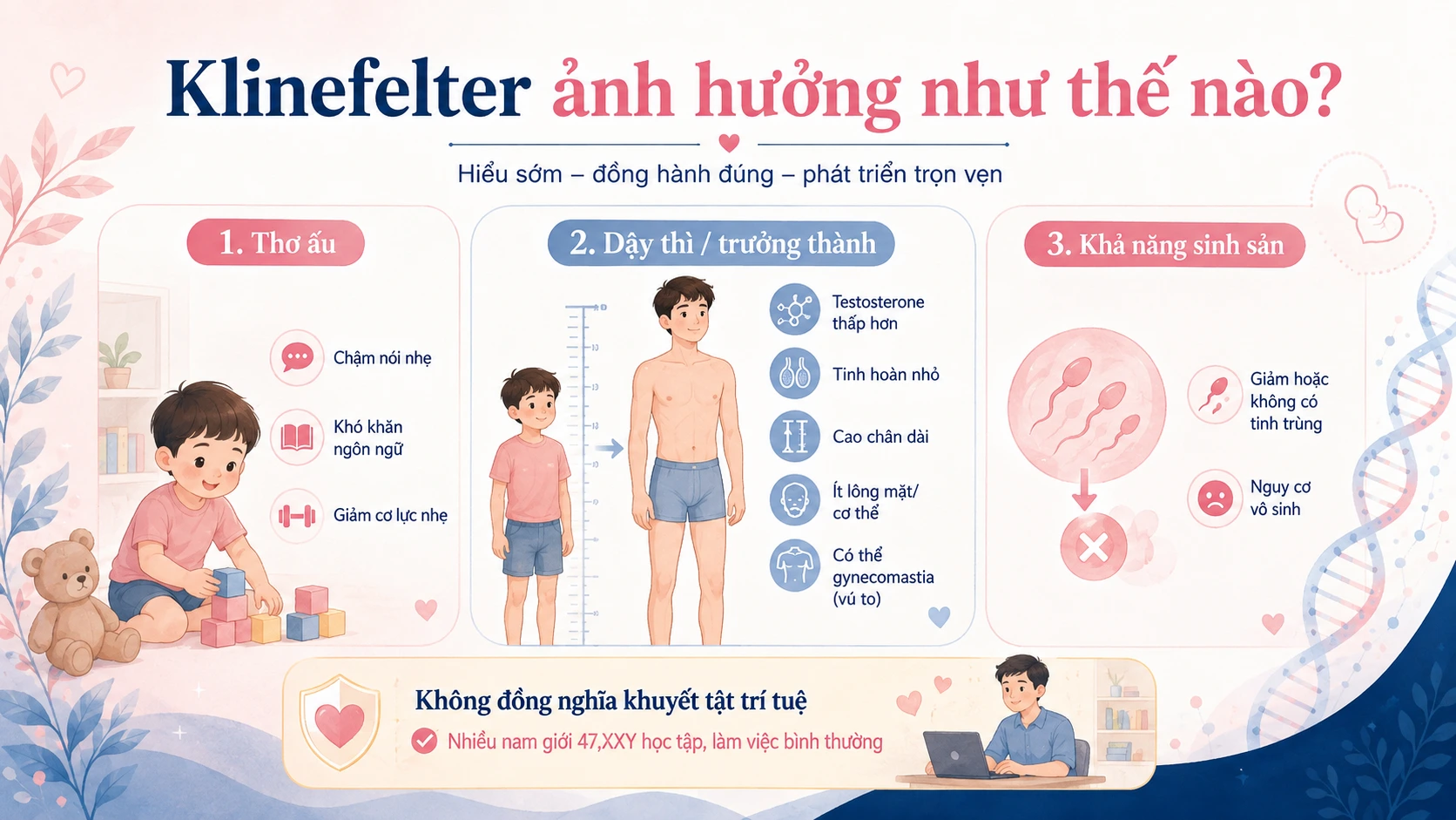 Minh họa 2. Hội chứng Klinefelter ảnh hưởng đến trẻ như thế nào?