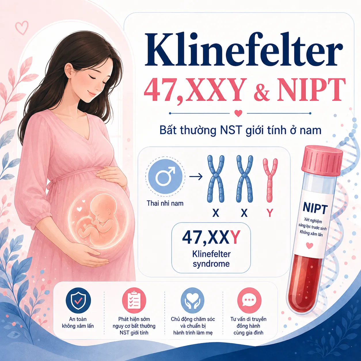 Hội chứng Klinefelter là gì? NIPT có sàng lọc được 47,XXY không?