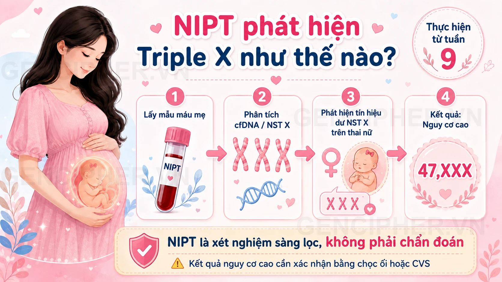 Minh họa 3. Vai trò của NIPT trong sàng lọc hội chứng Triple X