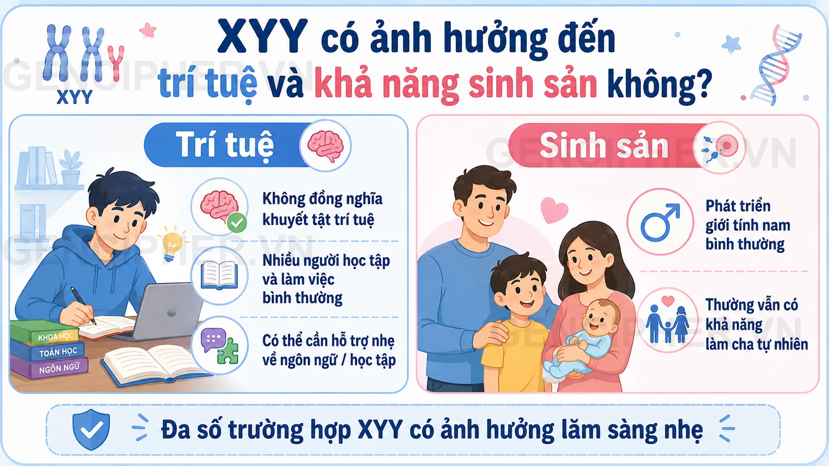 Minh họa XYY có ảnh hưởng đến trí tuệ và khả năng sinh sản không?