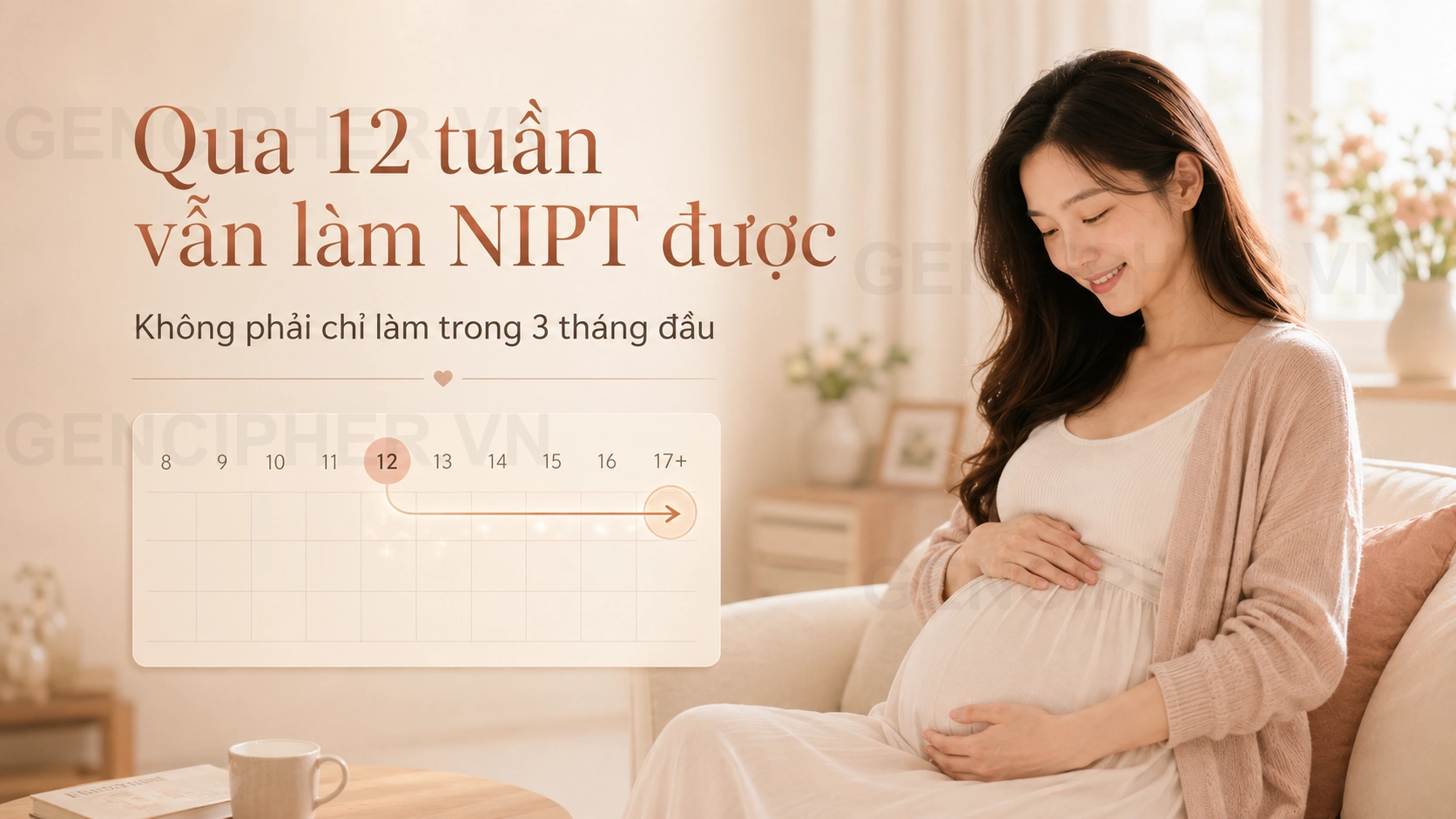 Minh họa 2. Bỏ lỡ mốc 12 tuần có làm NIPT được nữa không?